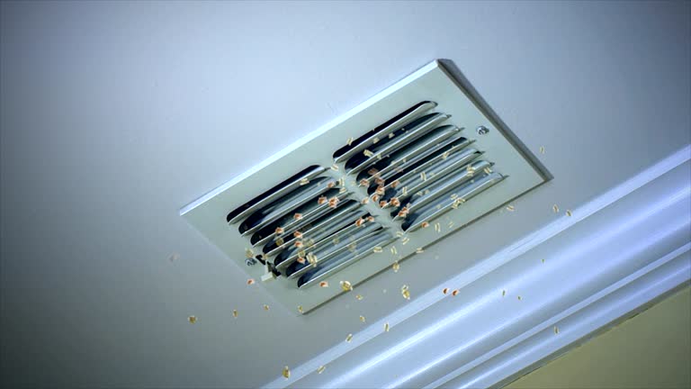 Best Affordable Air Duct Cleaning  in Redwood Valley, CA