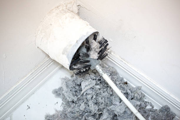 Best Air Duct Sanitizing Services  in Redwood Valley, CA